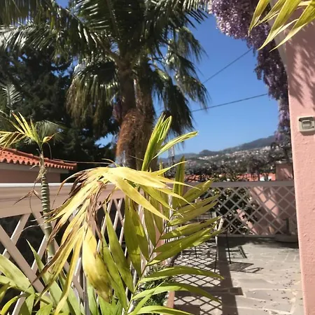 아파트 Casa Do Poco 푼샬