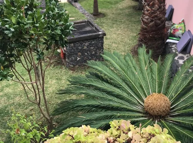 Apartament Casa Do Poco *